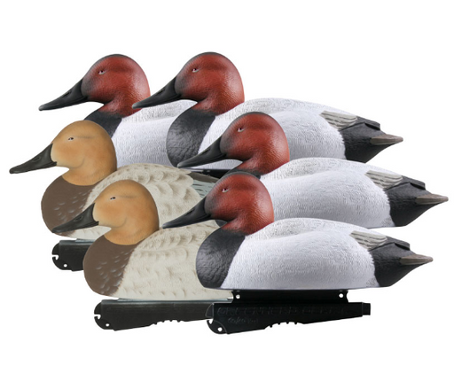 Banded, Over-Size Canvasbacks (6-pack)  decoy