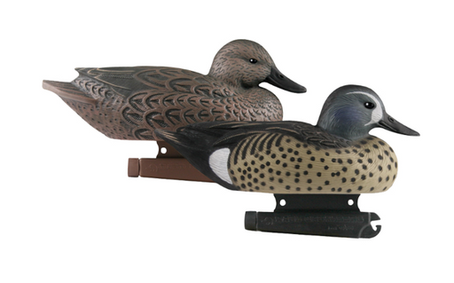 two Banded, Life-Size Blue-Winged Teal  decoys