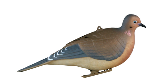 Banded, Mourning Dove decoy