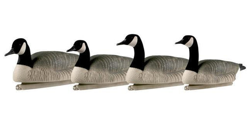 Four Canada goose decoys 