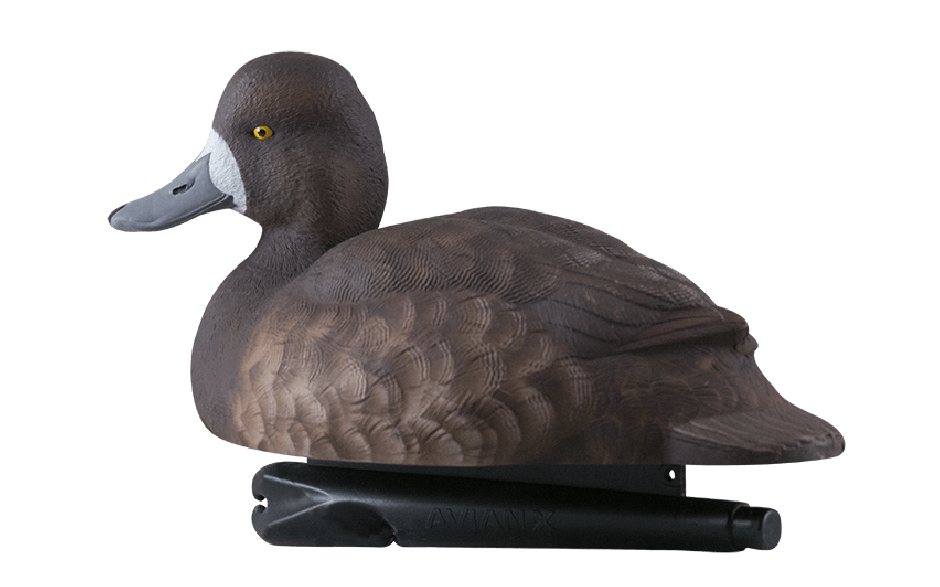 brown and white duck decoy