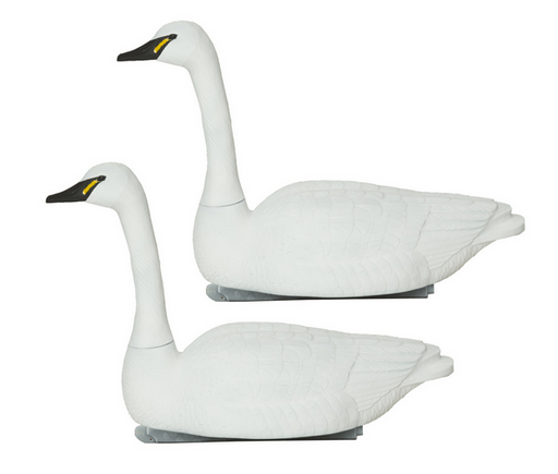 2 swan floater decoys