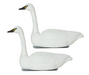 2 swan floater decoys
