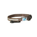 brown lighted dog collar with charging cord