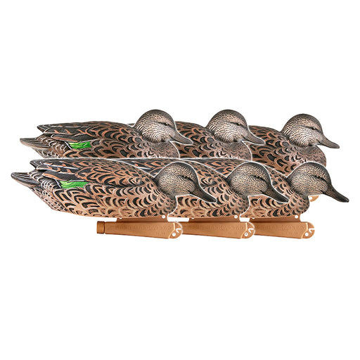 Green-Winged Teal Early Season Hen Pack hunting decoy