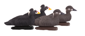 four Banded, PG Surf Scoters decoys