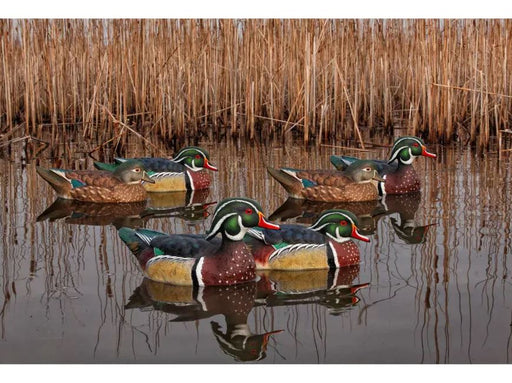six mallard duck hunting decoys floating in water with  reeds 