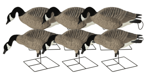 six Full Body Canada Goose- Feeder  decoy