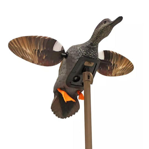 Gadwall spinning wing duck decoy on pole
