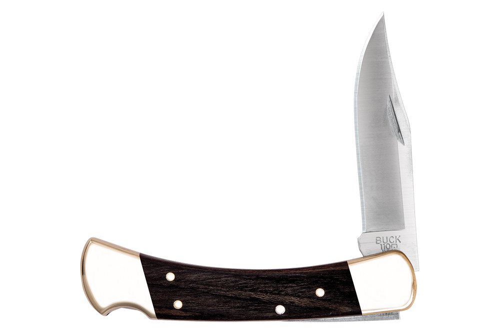 Buck Knives 110 Folding Hunter Knife, 0110BRS-B