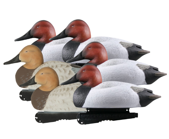 Banded, Over-Size Canvasbacks (6-pack) - Foam Filled