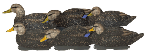 six black duck hunting decoy