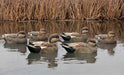 six mallard duck hunting decoys floating in water with reeds 