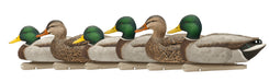 six mallard duck hunting decoy