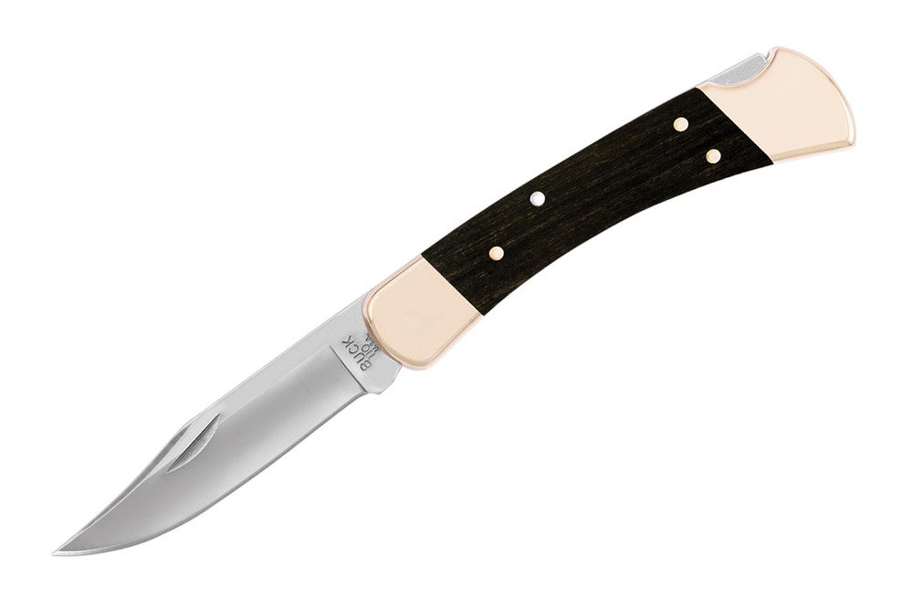 Buck Knives 110 Folding Hunter Knife, 0110BRS-B