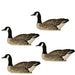 Four Specklebelly goose decoys