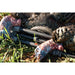 Bog Pod 1100471 Fieldpod Tripod black with gray trim with two turkeys