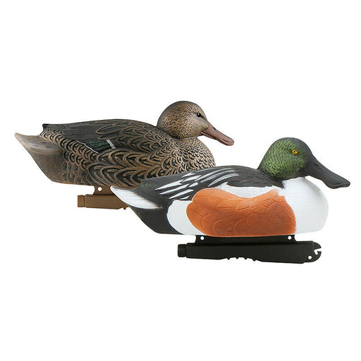 two Over-Size Shovelers hunting decoy