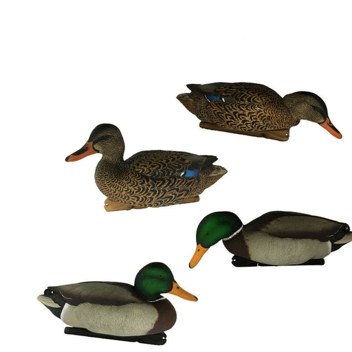 four mallard ducks hunting decoy