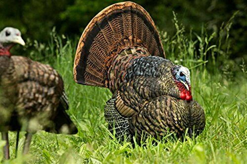 two turkey hunting decoys in high grass