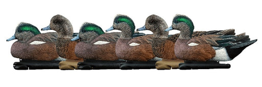 six pack Wigeon duck hunting decoy