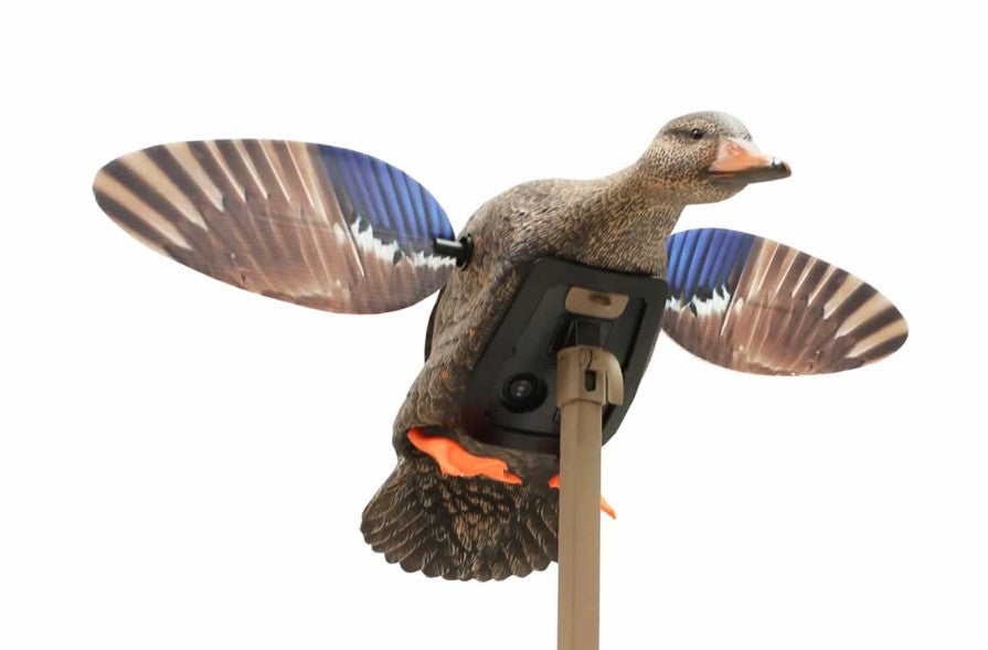 spinning wing duck hen decoy mounted on a pole
