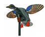 spinning wing duck decoy on pole with remote
