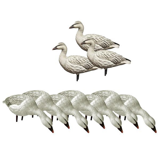 10 snow geese hunting decoys