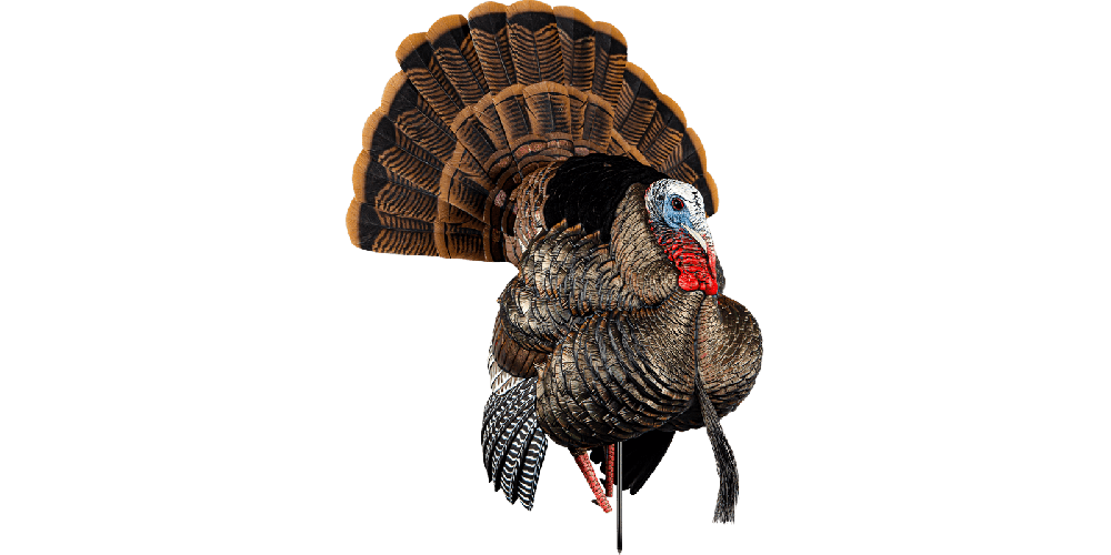 turkey hunting decoy