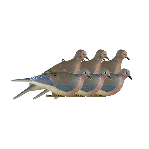 dove hunting decoy 6 pack