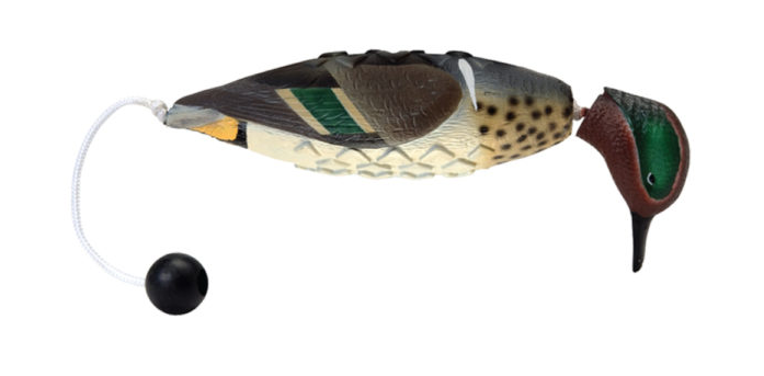 Banded, EZ Bird Green-Winged Teal