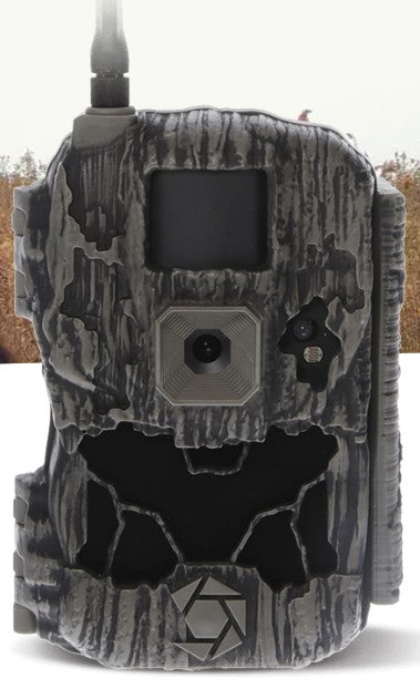 gray trail camera