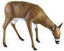life size grazing doe deer decoy