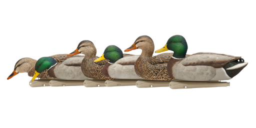 six Mallard duck hunting decoys