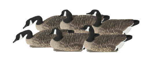 Banded, PG XD Canada Floaters-Harvester Pack (6-pack) decoys