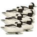 " Bufflehead duck decoys. Variety pack includes 2 Upright Head Drakes, 2 Low Head Drakes, 1 High Head Hen and 1 Low Head Hen 6 duck decoys. 
